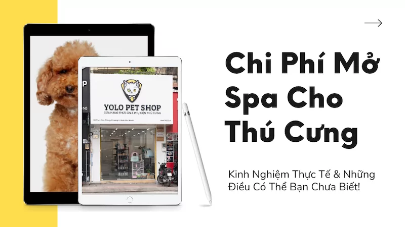 CHI PHÍ MỞ SPA THÚ CƯNG LÀ BAO NHIÊU?